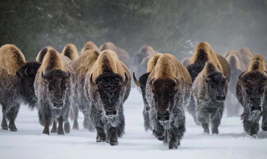 上海投仕壹方投资咨询有限公司轮播图4